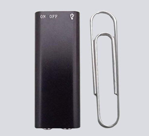 Mini Voice Recorder